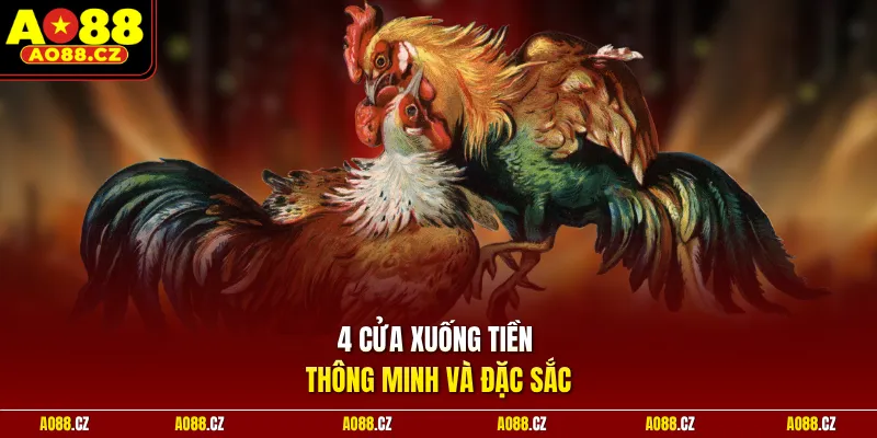 4 cửa xuống tiền thông minh và đặc sắc