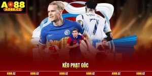 Kèo Phạt Góc – 3 Cách Đọc Vị Trận Đấu Từ Chấm 4 Góc Sân